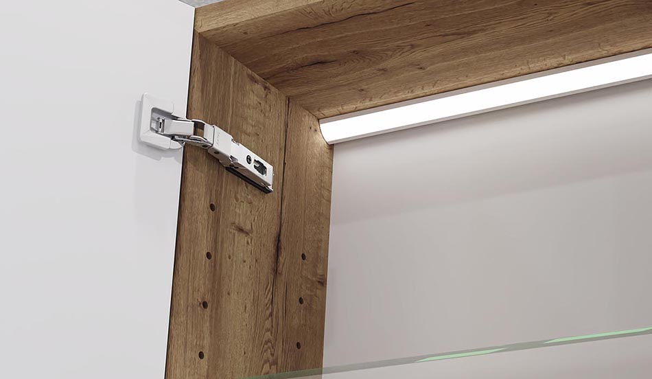 Hinges with soft-closing function
