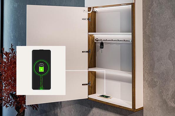 Induction charger