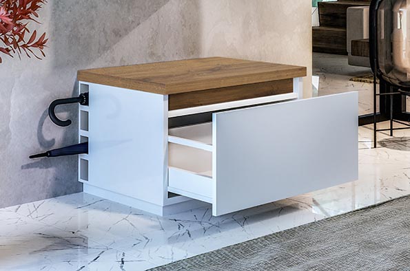 Shoe cabinet equipped with a renowned Blum system