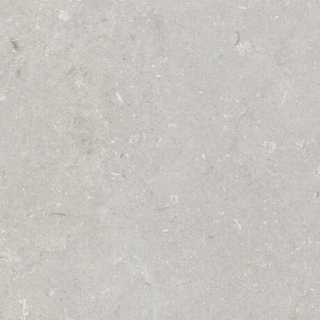 Tíleanna urláir 60x120 cm, liath éadrom neamhlonrach, A4H1093 Shellstone Bianco #1