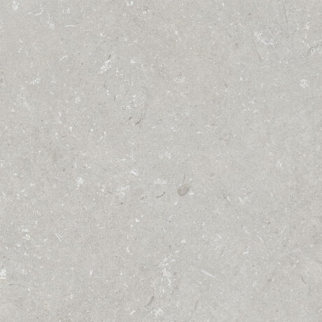 Tíleanna urláir 60x120 cm, liath éadrom neamhlonrach, A4H1093 Shellstone Bianco #2