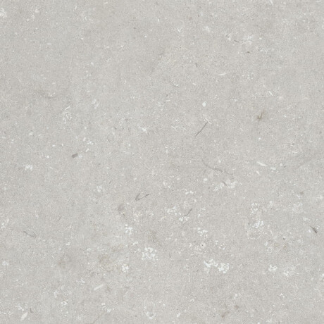 Tíleanna urláir 60x120 cm, liath éadrom neamhlonrach, A4H1093 Shellstone Bianco #3