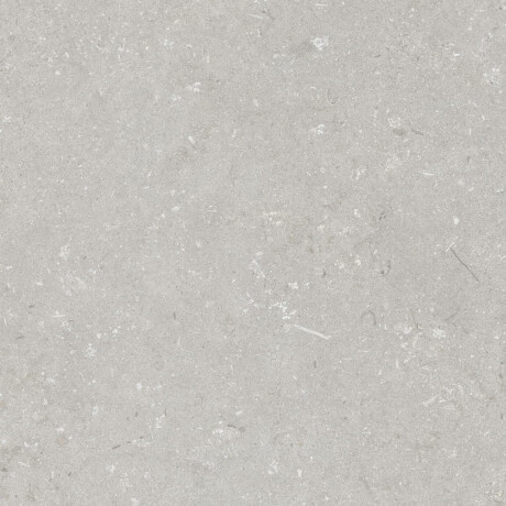 Tíleanna urláir 60x120 cm, liath éadrom neamhlonrach, A4H1093 Shellstone Bianco #4