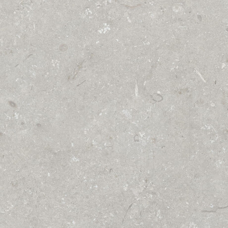 Tíleanna urláir 60x120 cm, liath éadrom neamhlonrach, A4H1093 Shellstone Bianco #5