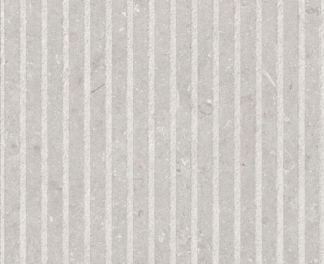60x120 cm tíleanna balla bán neamhlonrach A4H1094 Shellstone Bianco Rigat-One