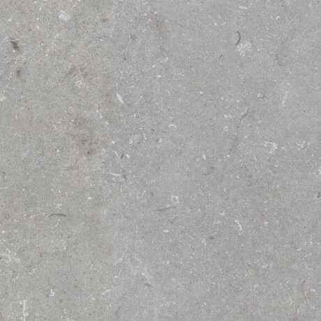 Tíleanna urláir liatha neamhlonracha 60x120 cm A4H1096 Shellstone Grigio #4