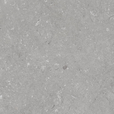 Tíleanna urláir liatha neamhlonracha 60x120 cm A4H1096 Shellstone Grigio #5