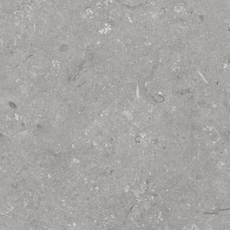 Tíleanna urláir liatha neamhlonracha 60x120 cm A4H1096 Shellstone Grigio #8
