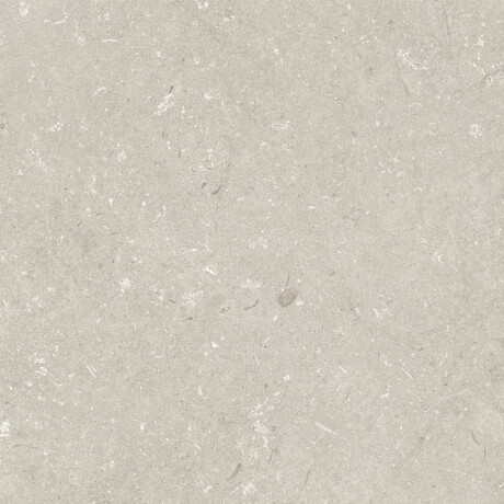 Tíleanna urláir mhatta béis 60x120 cm A4H1099 Shellstone Beige #4