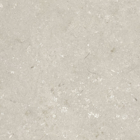 Tíleanna urláir mhatta béis 60x120 cm A4H1099 Shellstone Beige #5
