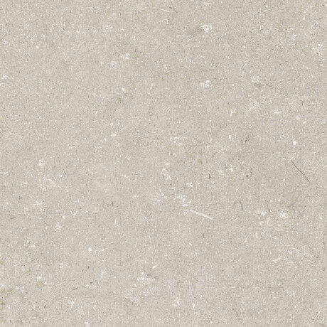 Tíleanna urláir mhatta béis 60x120 cm A4H1099 Shellstone Beige #6