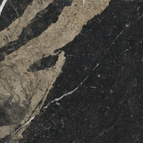 Tíleanna urláir poircealláin glónraithe 60x120 le féith órga, neamhlonrach, ceartaithe, A4H110 Pierre Dubh #32