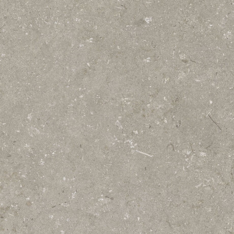 60x120 cm tíleanna urláir taobh amuigh mat taupe A4H1102 Shellstone Taupe #4