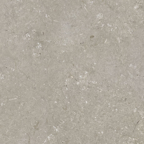 60x120 cm tíleanna urláir taobh amuigh mat taupe A4H1102 Shellstone Taupe #5