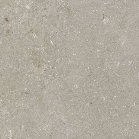 60x120 cm tíleanna urláir taobh amuigh mat taupe A4H1102 Shellstone Taupe #6