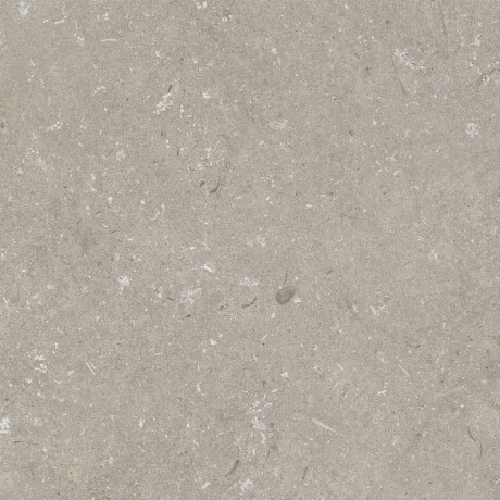 60x120 cm tíleanna urláir taobh amuigh mat taupe A4H1102 Shellstone Taupe #7
