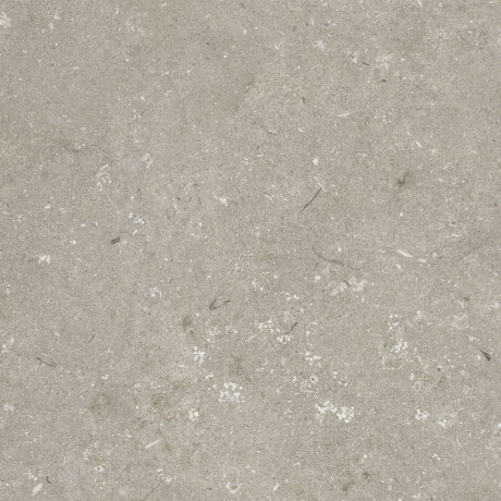 60x120 cm tíleanna urláir taobh amuigh mat taupe A4H1102 Shellstone Taupe #8