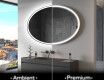 Backlit LED Bathroom Mirror L228