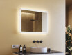 Rectangle bathroom mirror with LED lights  with Dual color, Touch Switch