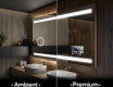 Designer Backlit LED Bathroom Mirror L09 #1