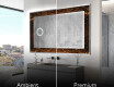 Backlit Decorative Mirror - Amber Shell