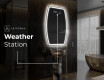 Irregular Mirror LED Lighted decorative design M223 #6