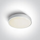 Lampa síleála RAFTI AN 24W 3000K IP65 antracít #1