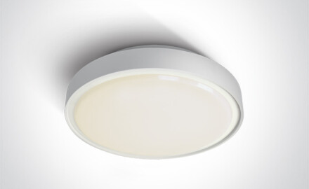 Solas síleála RAFTI E 12W IP65 liath