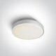 Solas síleála RAFTI E 12W IP65 liath #1