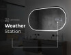 Backlit LED Bathroom Mirror L231 #8