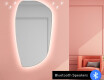 Irregular Mirror LED Lighted decorative design I221 #7