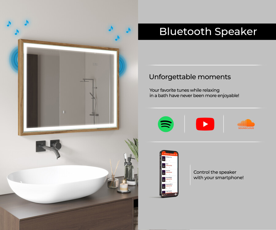 Chromecast shop bathroom speaker