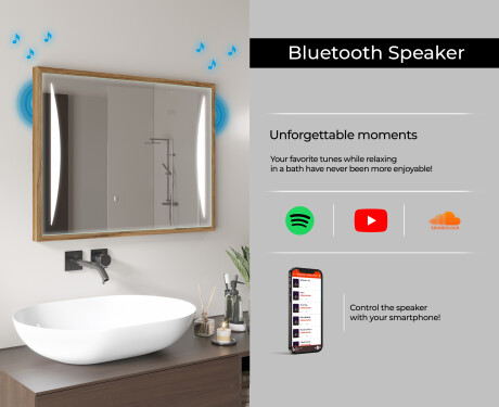 Rectangular Bathroom Mirror With LED Light FrameLine L135 #11