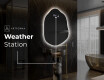 Irregular Mirror LED Lighted decorative design E221 #7
