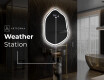 Irregular Mirror LED Lighted decorative design E222 #7